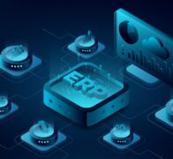 ERP-Betrieb: Do-it-yourself oder nicht?