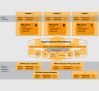 Wissenstransfer in ERP-Projekten