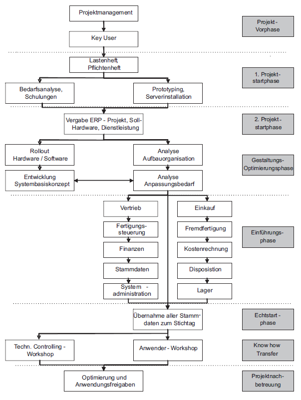 Kategorisierung der Einführungsstrategien von ERP-Systemen 3 2