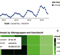 Business Analytics mit SAP HANA
