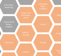 Digital Business Transformation und ERP