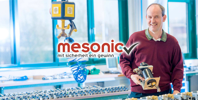 mesonic