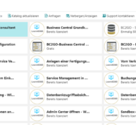 Wie kleine Unternehmen es schaffen, ERP-Projekte zu stemmen