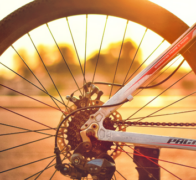 Mobilitätsdienstleister movelo bietet alternative E-Bike-Flotten an