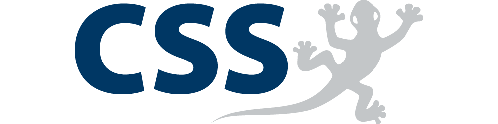 CSS AG - ERP Management