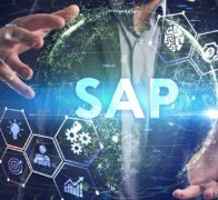 Quo vadis, SAP-Berater?