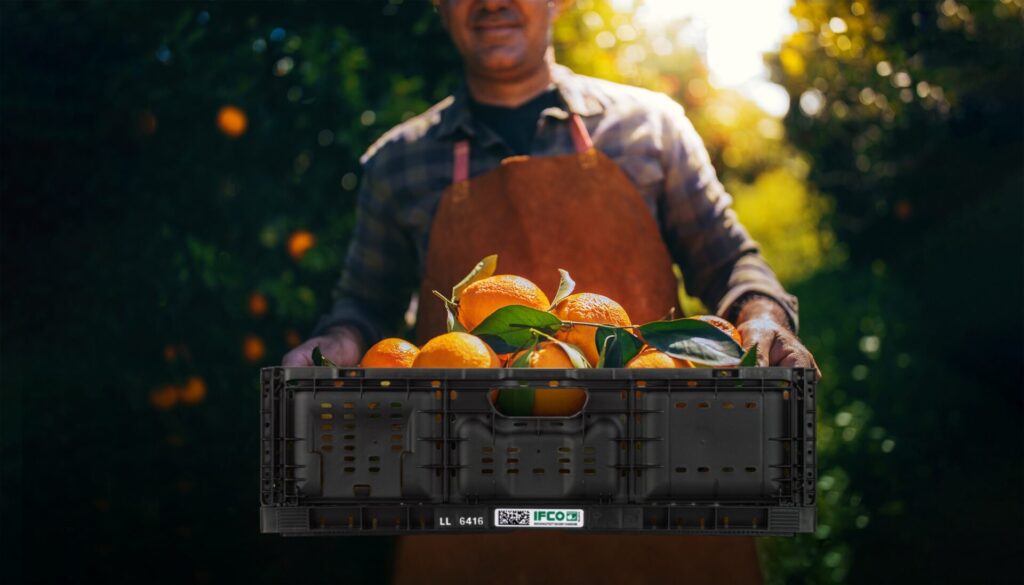IFCO Grower Orange midsize