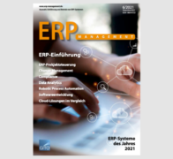 ERP 6/2021: ERP-Einführung