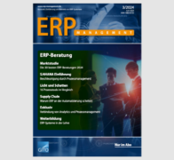 ERP 3/2024: ERP-Beratung