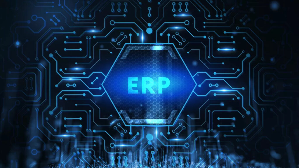 ERP 5/2024 Leupold Einführung von ERP-Software