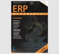 ERP 1/2013: Wirtschaftlichkeit