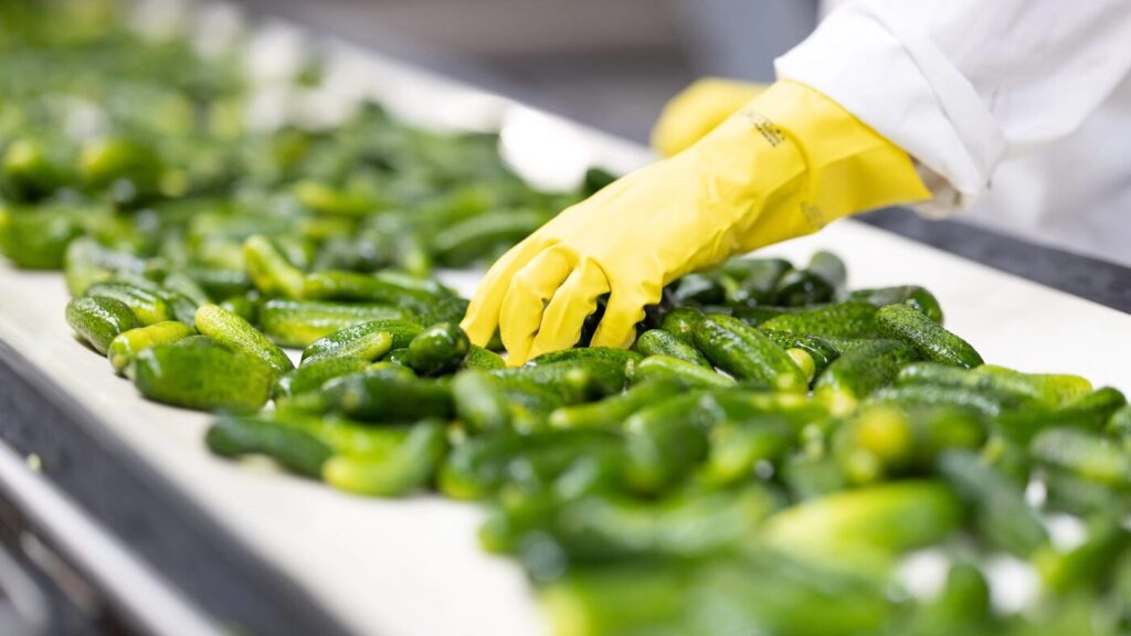 efko Frischfrucht und Delikatessen GmbH