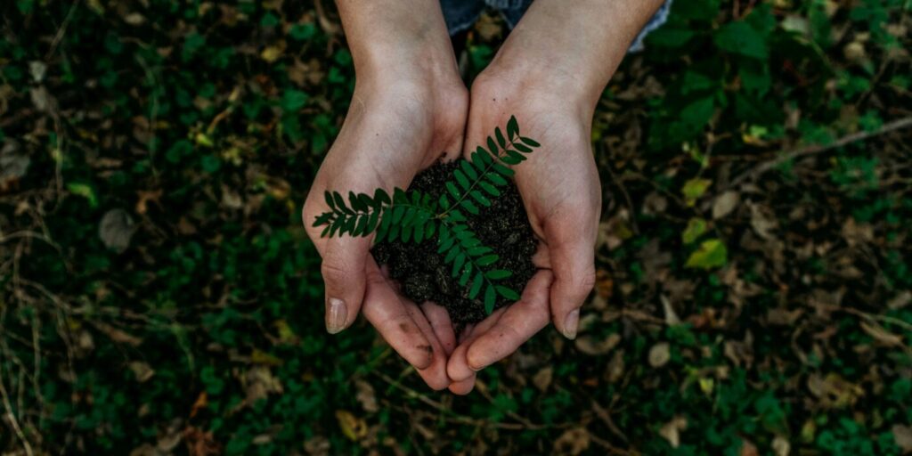 Nachhaltige Digitalisierung im Mittelstand © Unsplash | Noah Buscher