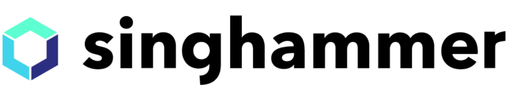 Branchenstandard statt Individualentwicklung 2 singhammer Logo 1