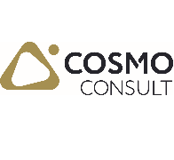 COSMO CONSULT