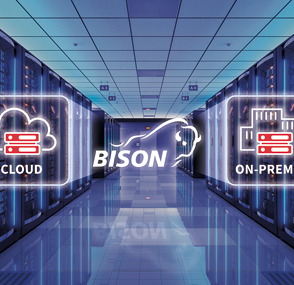 BISON ERP: Es muss nicht immer Cloud sein