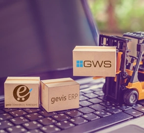 Digitalisierung im Handel: Integration von Webshop und ERP